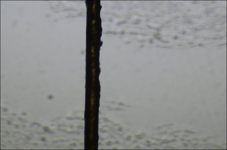 Микроскоп из фотоаппарата