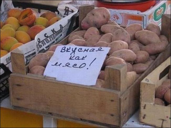 Прикольные надписи и объявления