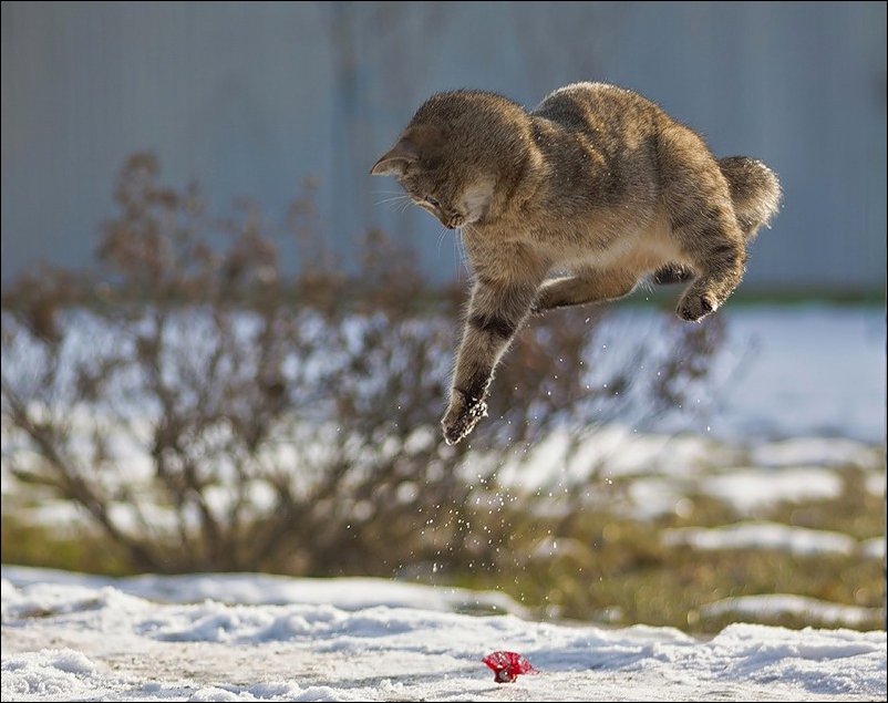 Подборка фотографий