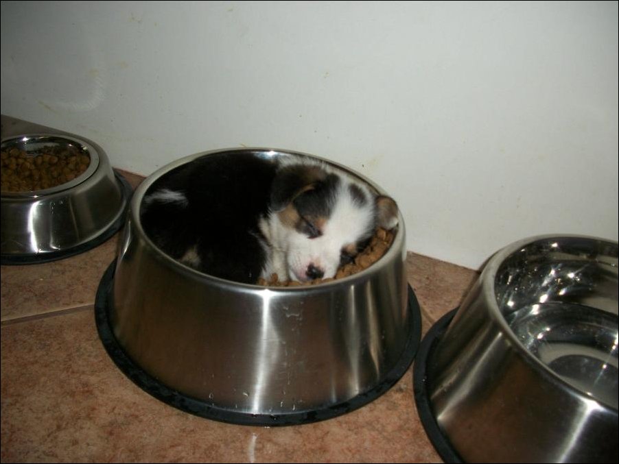 Подборка фотографий