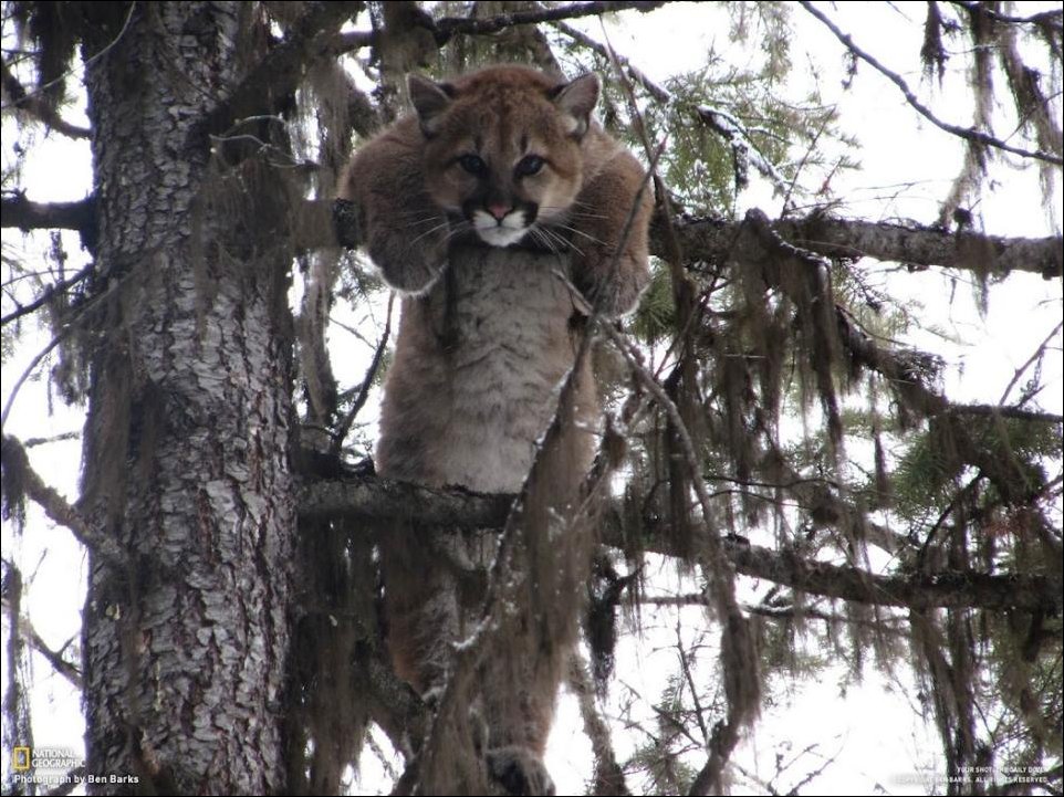 Подборка фотографий
