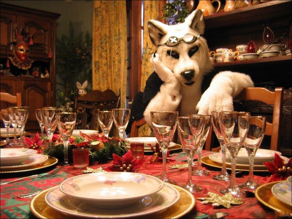 Подборка фотографий