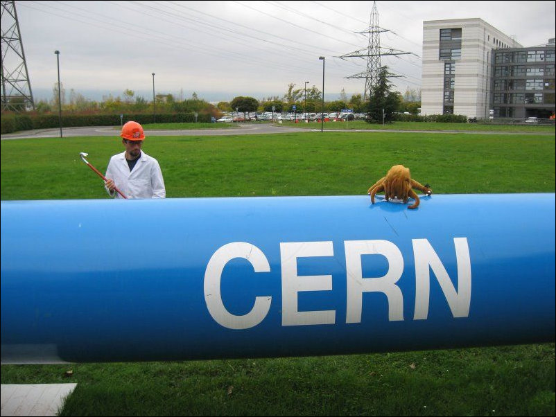 Подборка фотографий