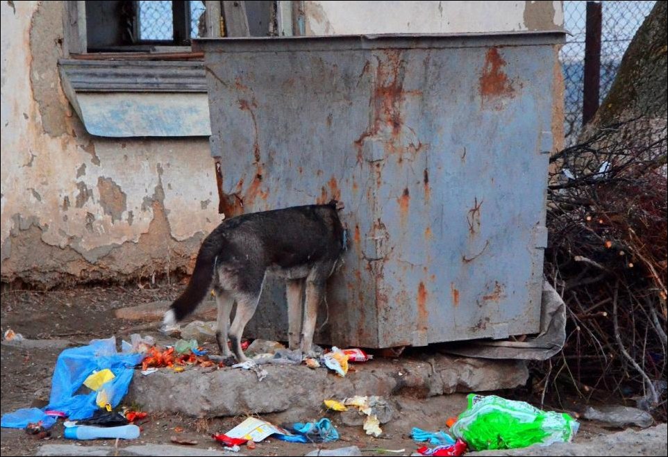 Подборка фотографий
