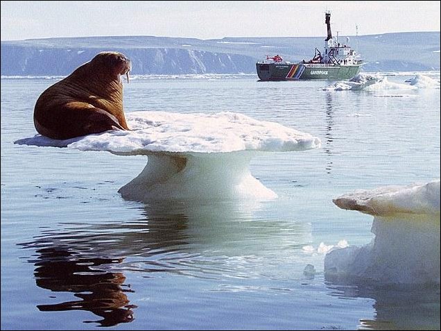 Подборка фотографий