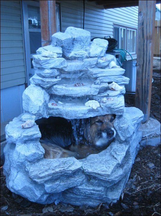 Подборка фотографий