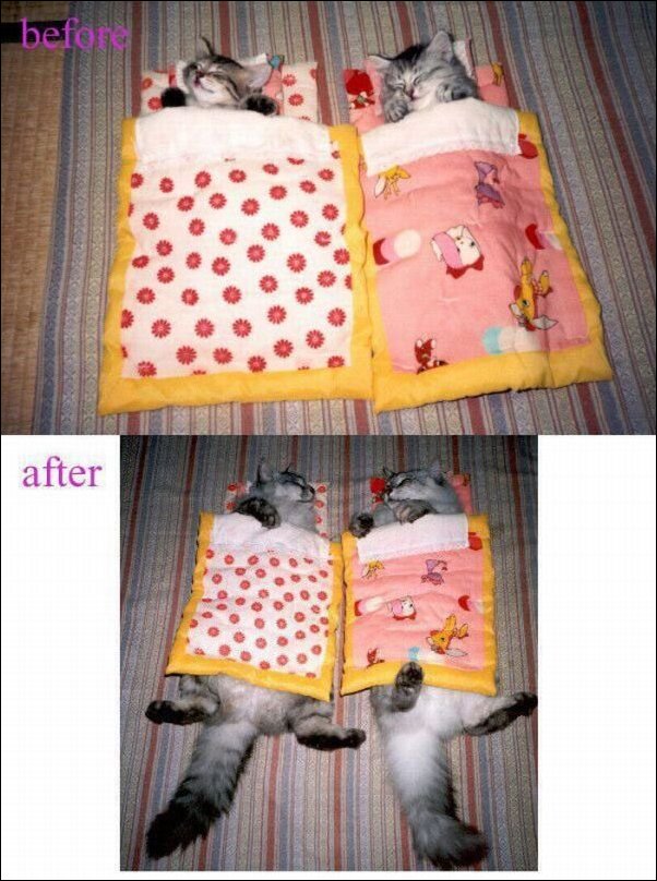 Подборка фотографий