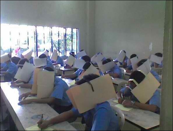 Подборка фотографий