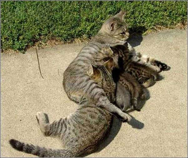 Подборка фотографий