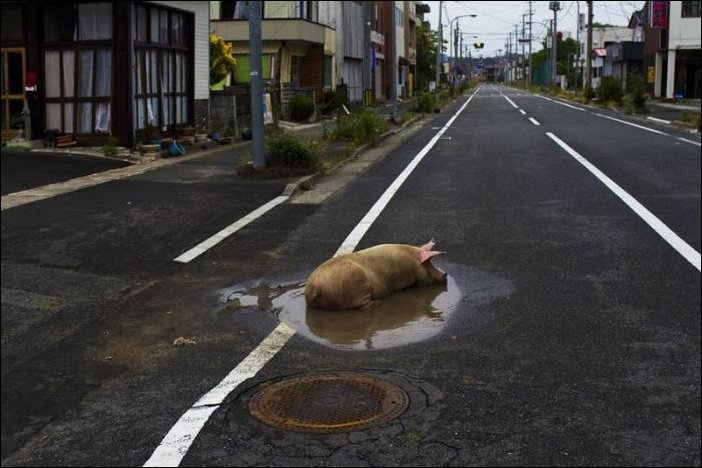 Подборка фотографий