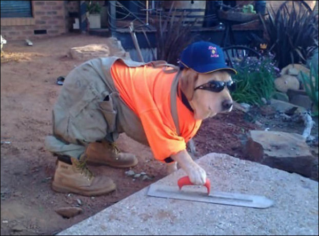 Подборка фотографий