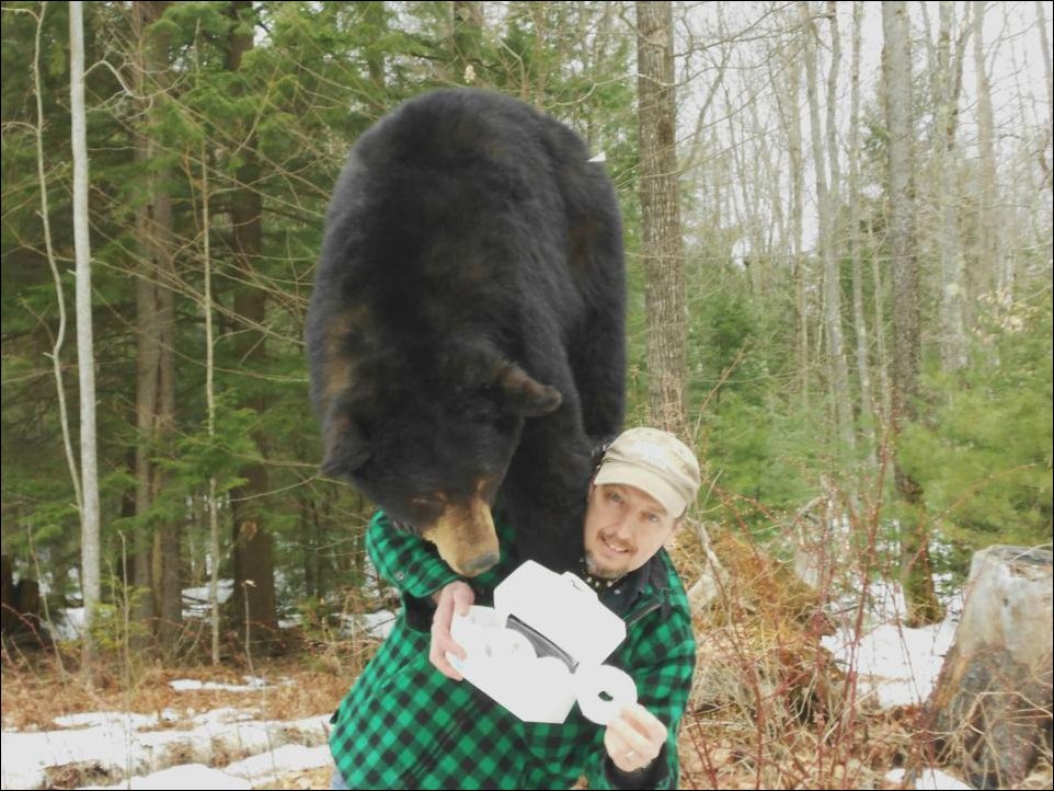 Подборка фотографий