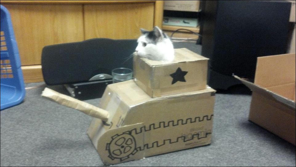 Подборка фотографий