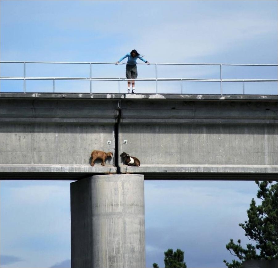 Подборка фотографий
