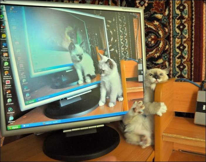 Подборка фотографий