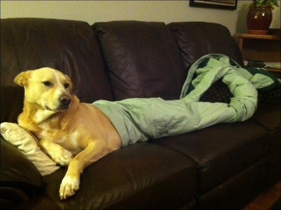 Подборка фотографий