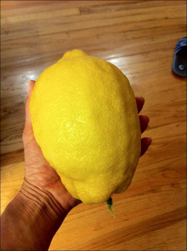 Подборка фотографий