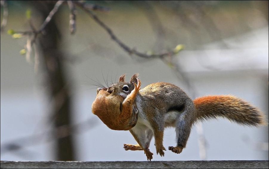 Подборка фотографий