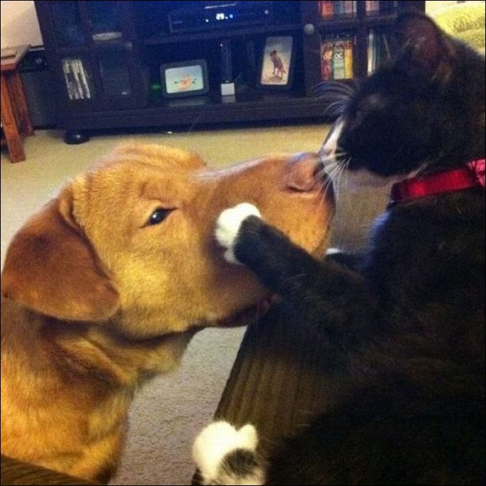 Подборка фотографий