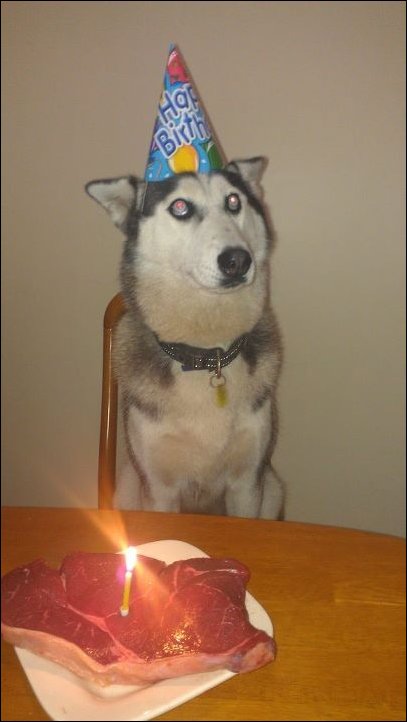 Подборка фотографий