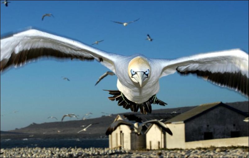 Подборка фотографий