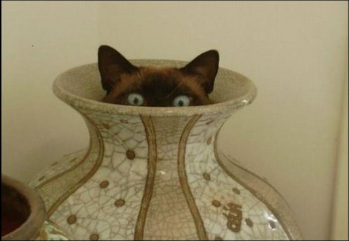 Подборка фотографий