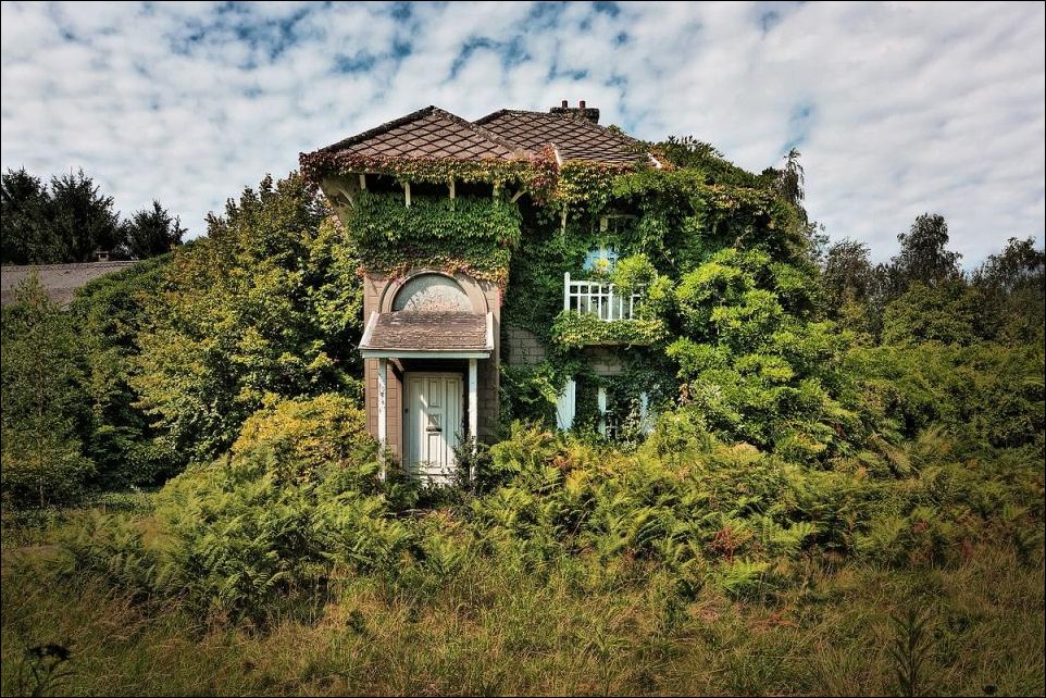 Подборка фотографий