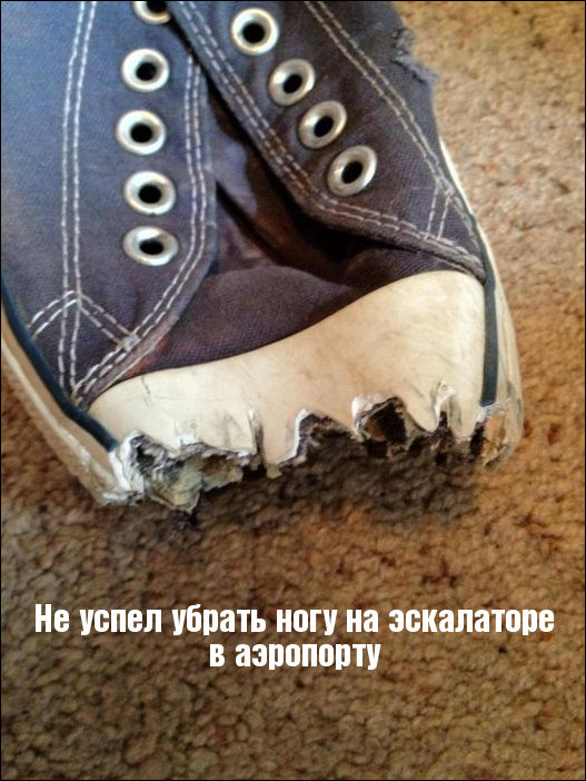 Подборка фотографий