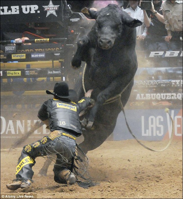 Подборка фотографий