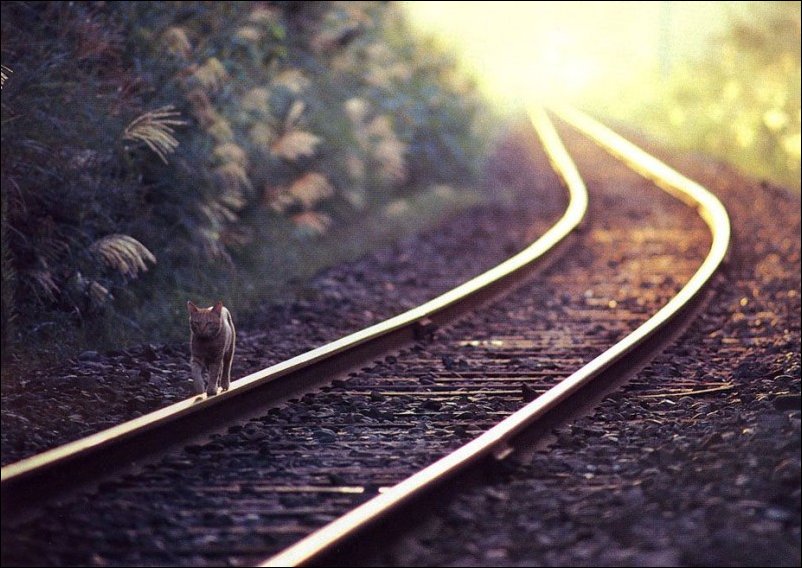 Подборка фотографий