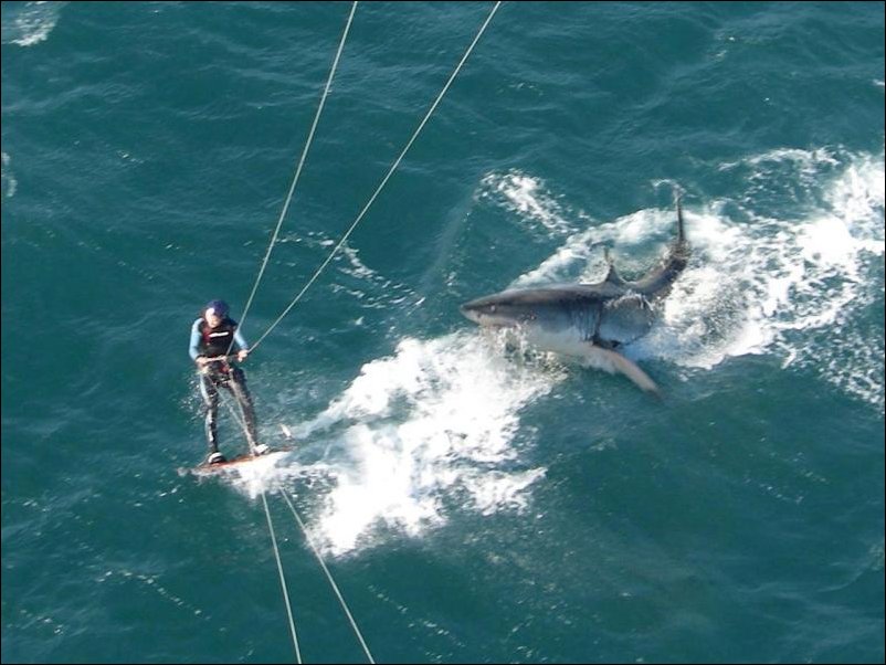 Подборка фотографий