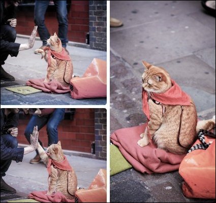 Подборка фотографий