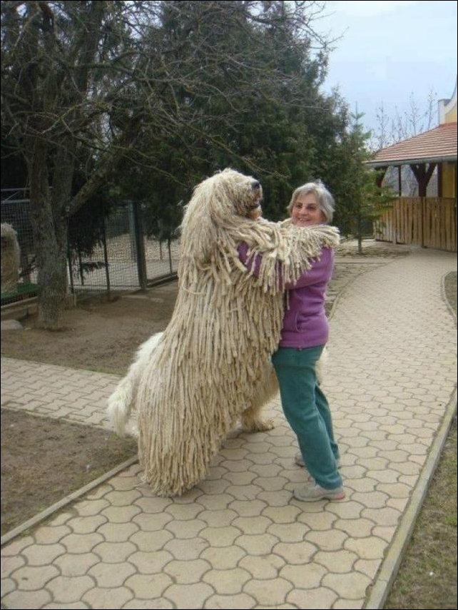 Подборка фотографий