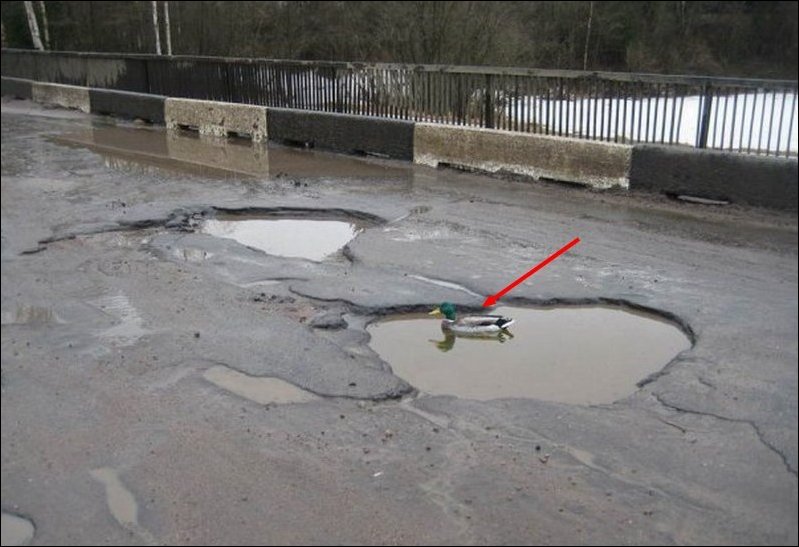 Подборка фотографий