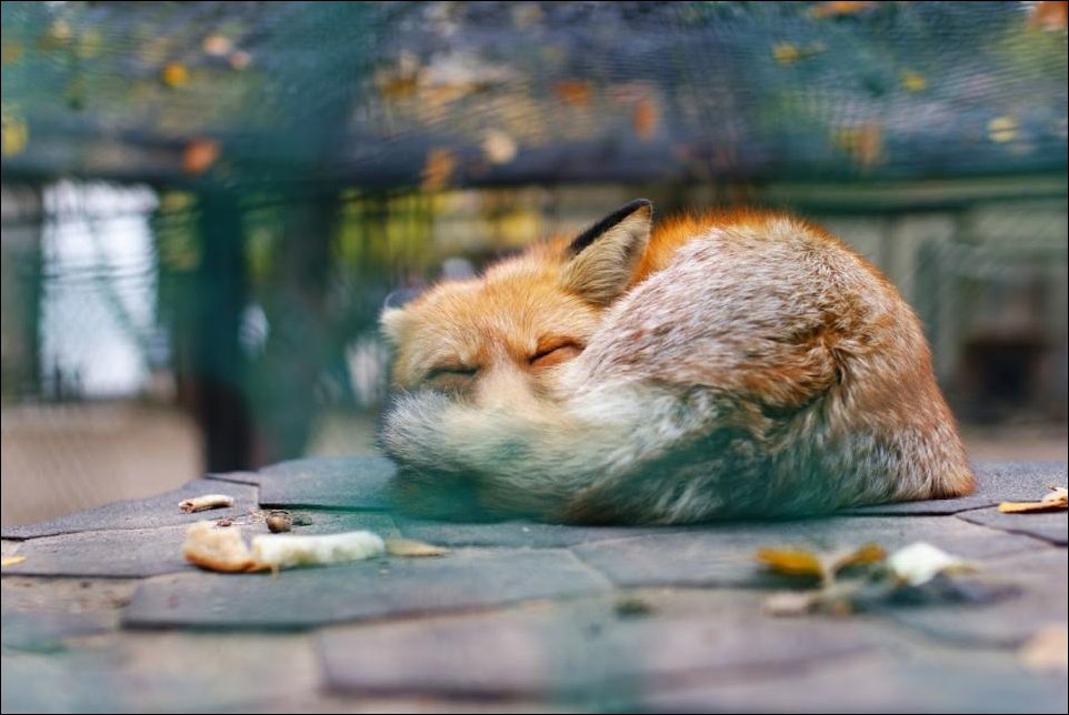 Подборка фотографий