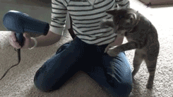 Подборка фотографий