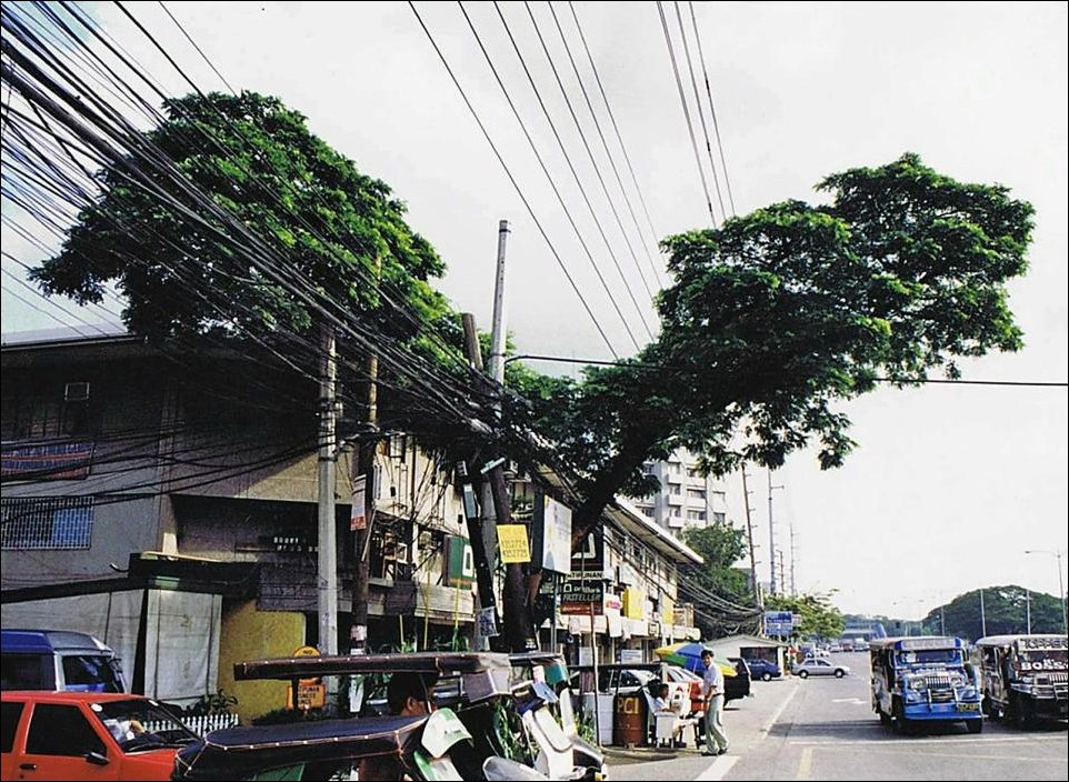 Подборка фотографий