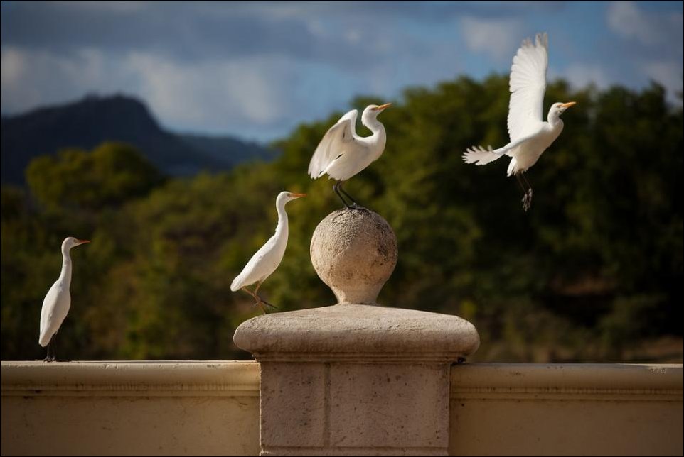 Подборка фотографий