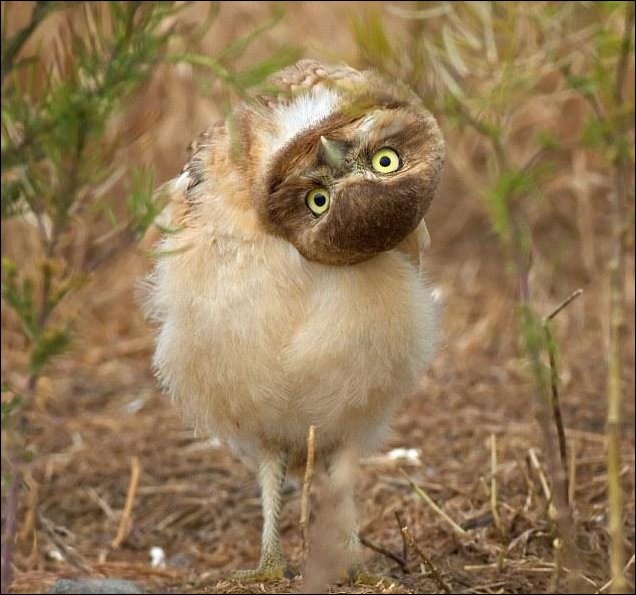 Подборка фотографий