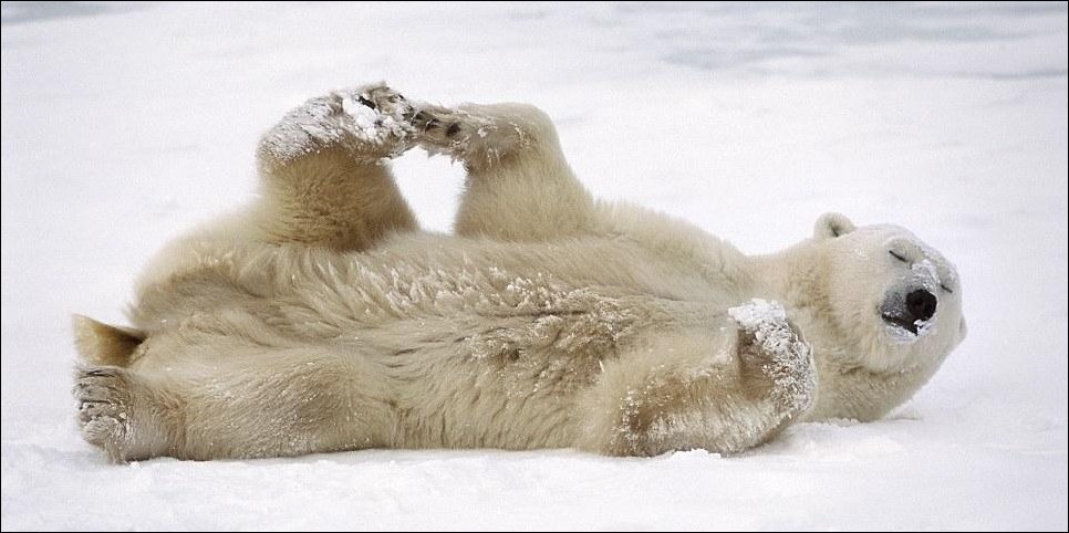 Подборка фотографий