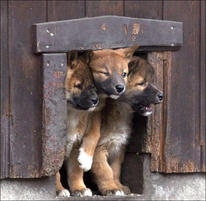 Подборка фотографий