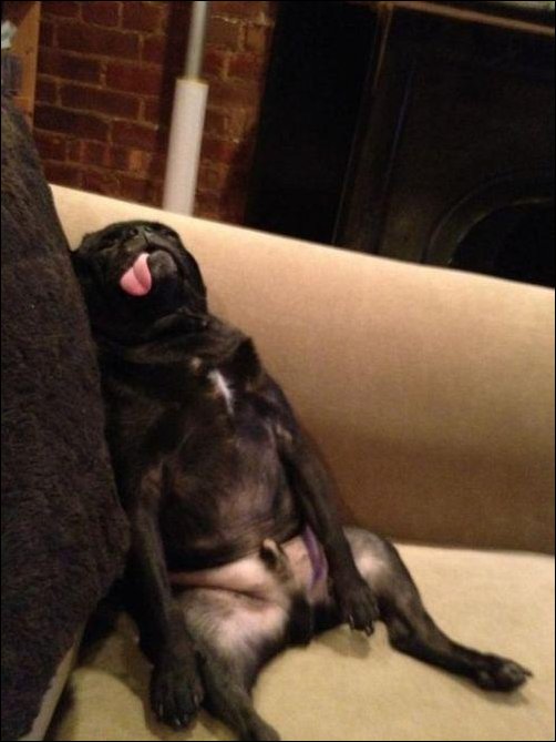 Подборка фотографий