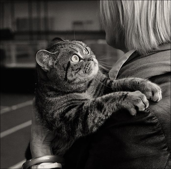 Подборка фотографий