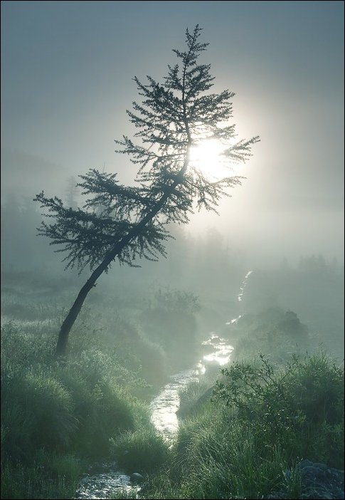 Подборка фотографий