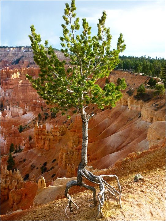 Подборка фотографий