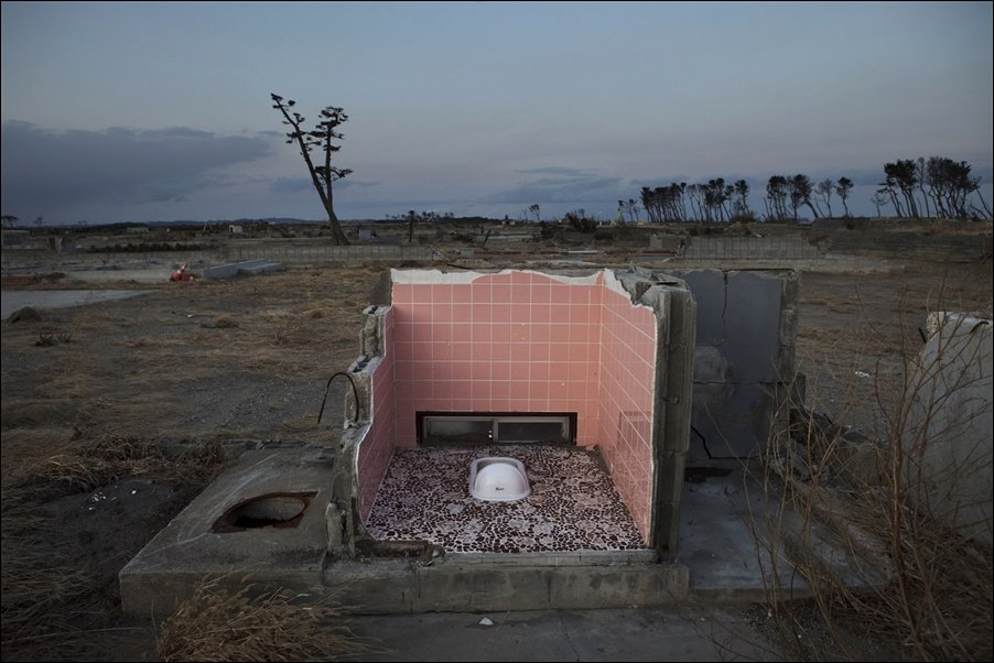 Подборка фотографий