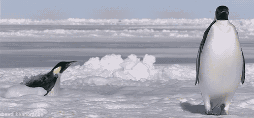 Подборка фотографий