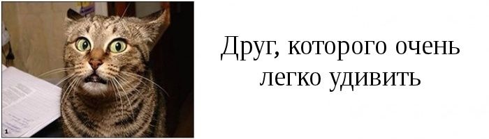 Типы друзей