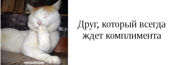 Типы друзей