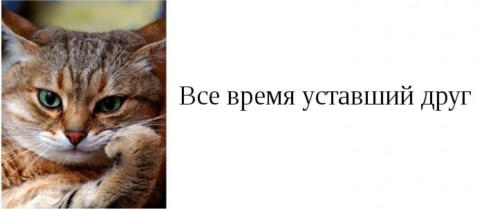 Типы друзей